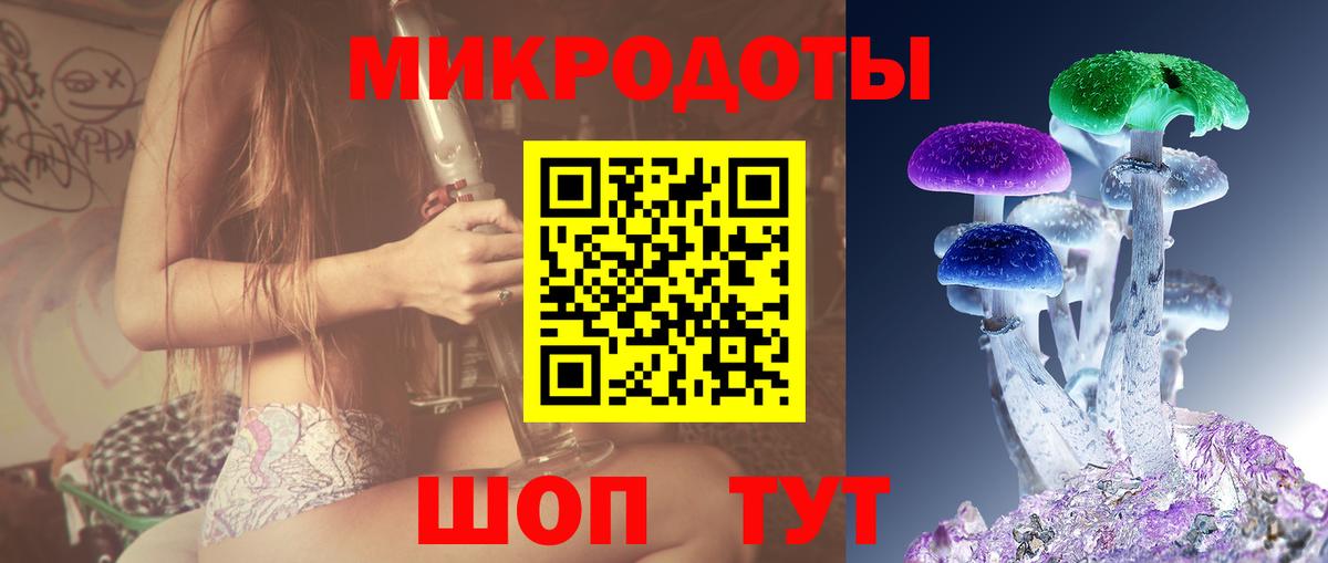 Знаменск  где купить наркоту  Галлюциногенные грибы Magic Shrooms  Вход с VPN  Галлюциногенные грибы Psilocybe 