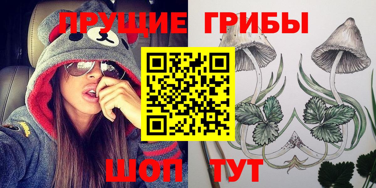 Псилоцибиновые грибы прущие грибы Знаменск